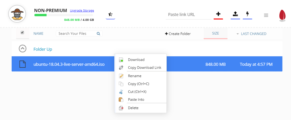 Seedr download options